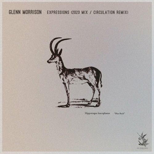 Glenn Morrison - Expression [FFGR061]
